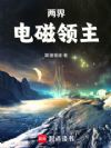 ���磺�������