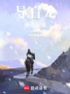 导盲龙使用指南