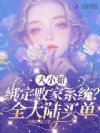 大小姐绑定败家系统?全大陆买单